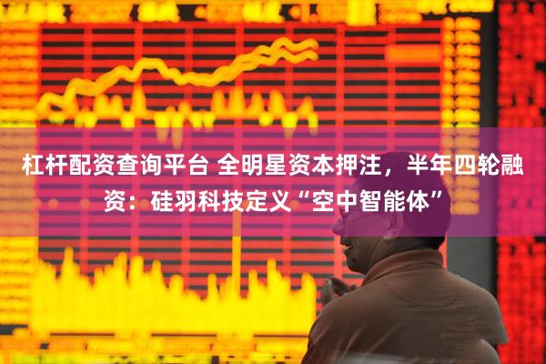 杠杆配资查询平台 全明星资本押注，半年四轮融资：硅羽科技定义“空中智能体”